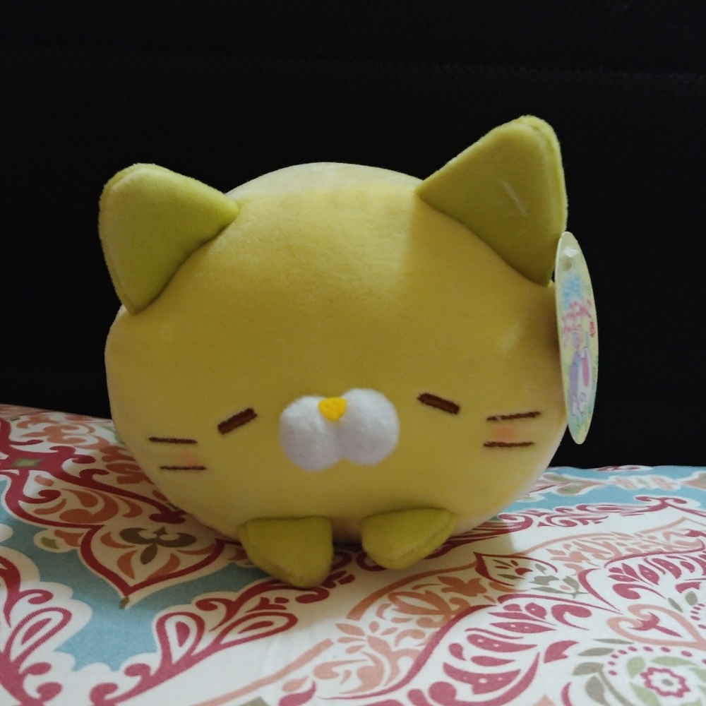 Very soft kitty plushie